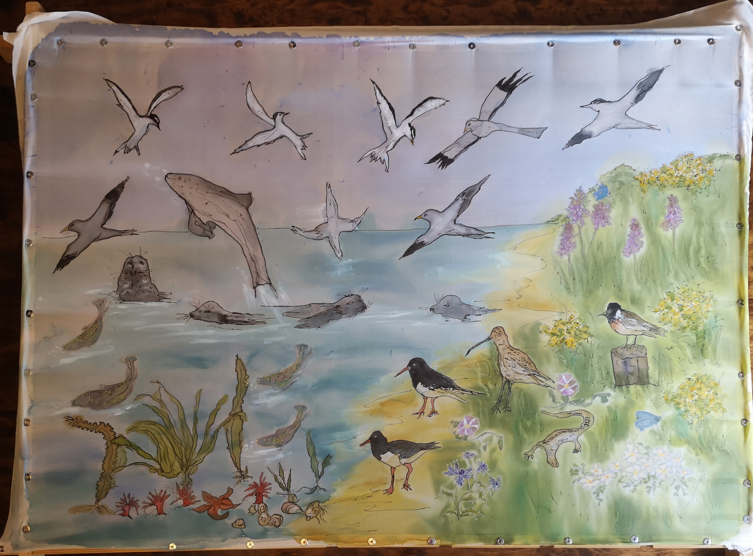 /ayresworkshopbanner /ayresworkshopbanner