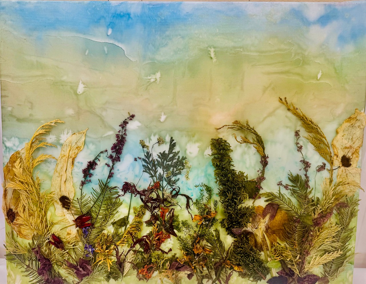 /LakesDistrict-Carol /LakesDistrict